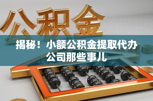 松溪揭秘！小额公积金提取代办公司那些事儿
