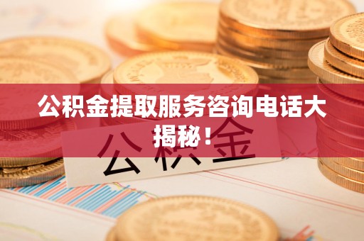 松溪公积金提取服务咨询电话大揭秘！